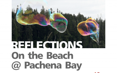 Reflections: Beach Set at Pachena Bay Music Festival
